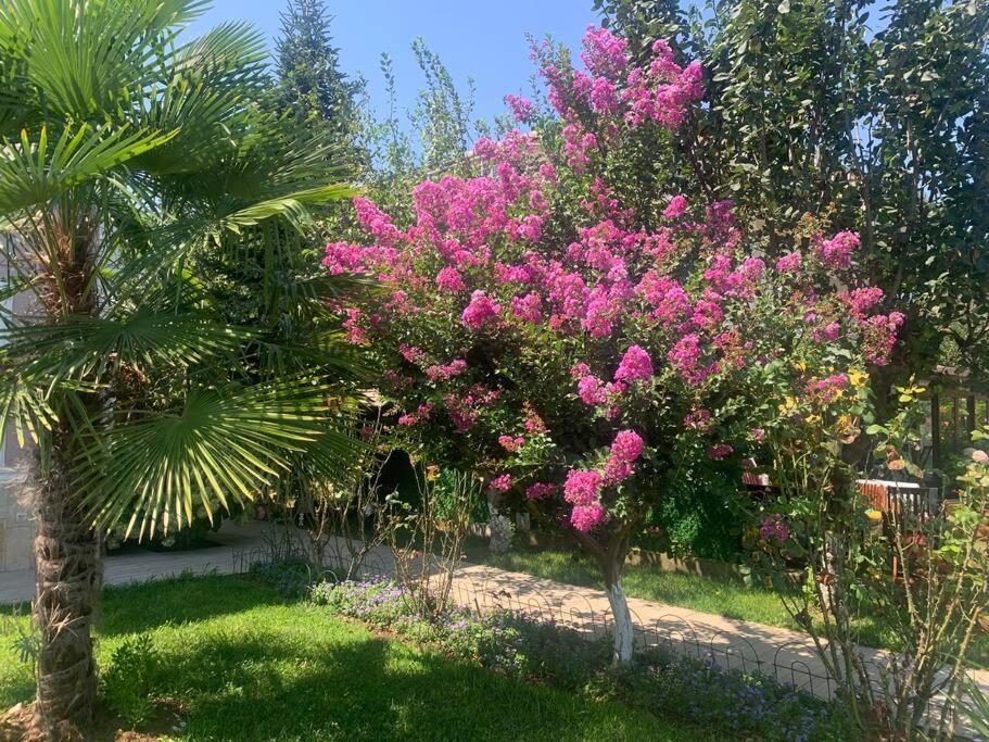 Villa Elysium Gebze Exterior foto